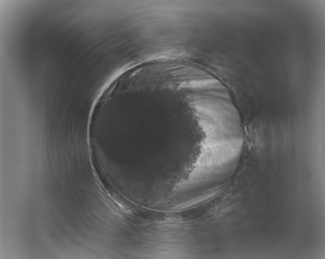 X0000062880196200601271630