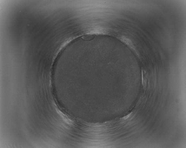 X0000062880204200601271630