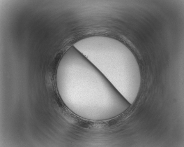 X0000062880209200601271630