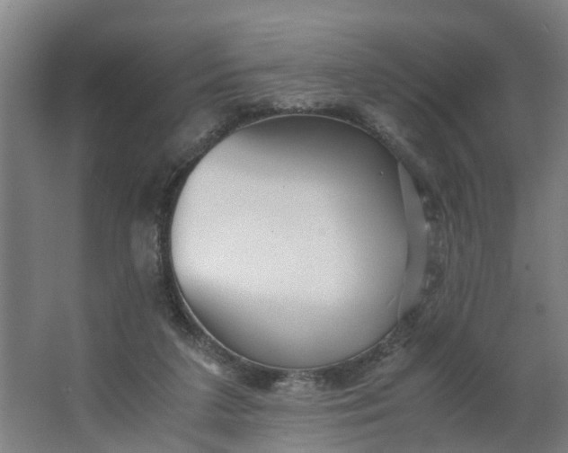 X0000062880211200601271630