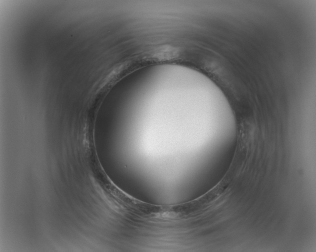 X0000062880212200601271630