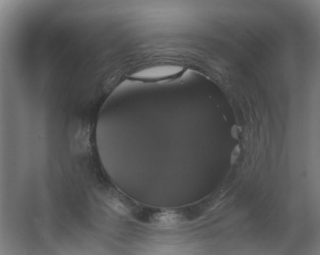 X0000062880219200601271630