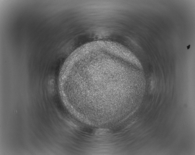 X0000062880222200601271630