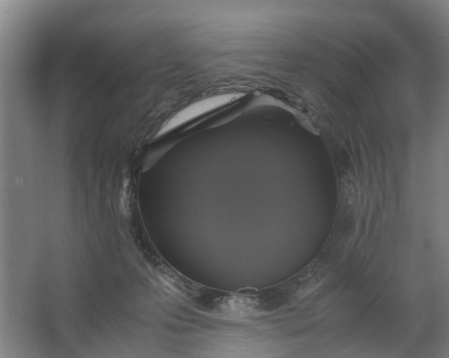 X0000062880223200601271630