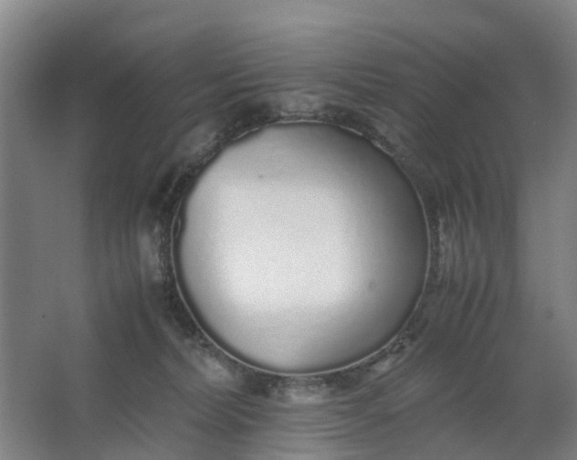 X0000062880228200601271630