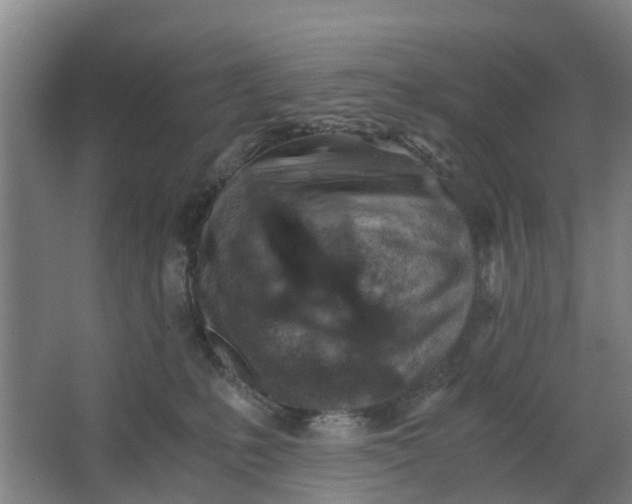 X0000062880231200601271630