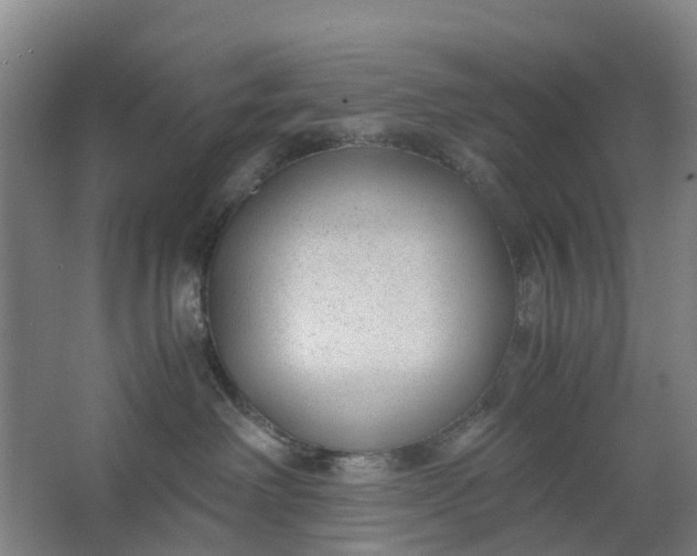 X0000062880238200601271630