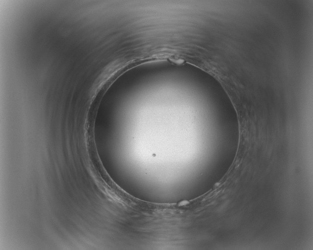 X0000062880242200601271629