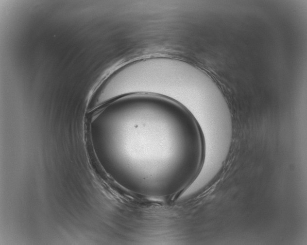 X0000062880244200601271629