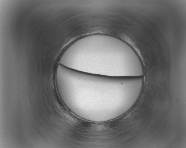 X0000062880249200601271629