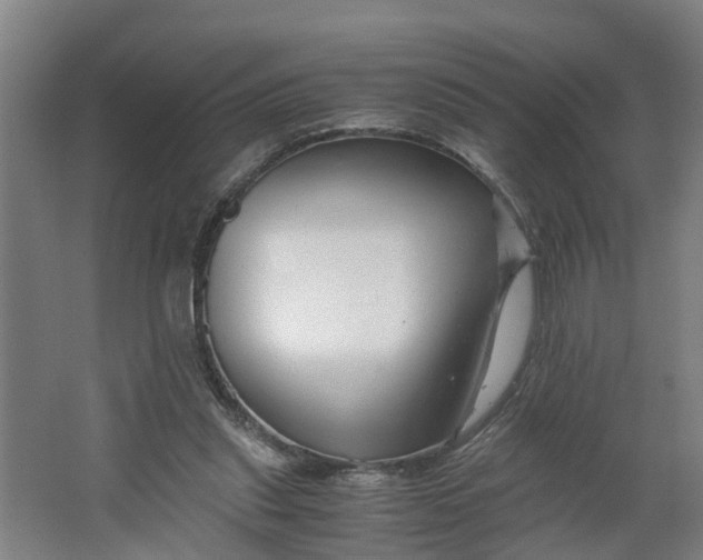 X0000062880253200601271629