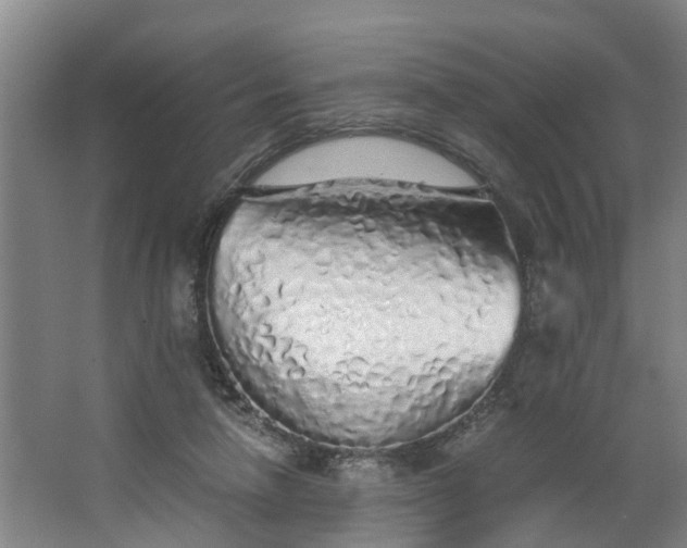 X0000062880258200601271629