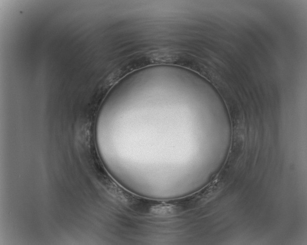 X0000062880271200601271629