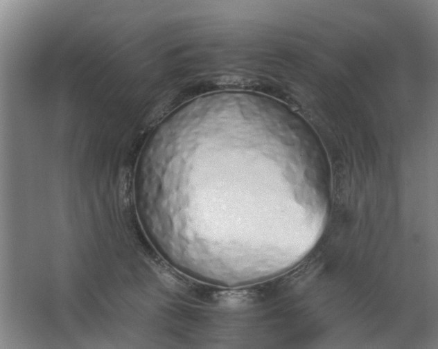 X0000062880273200601271629