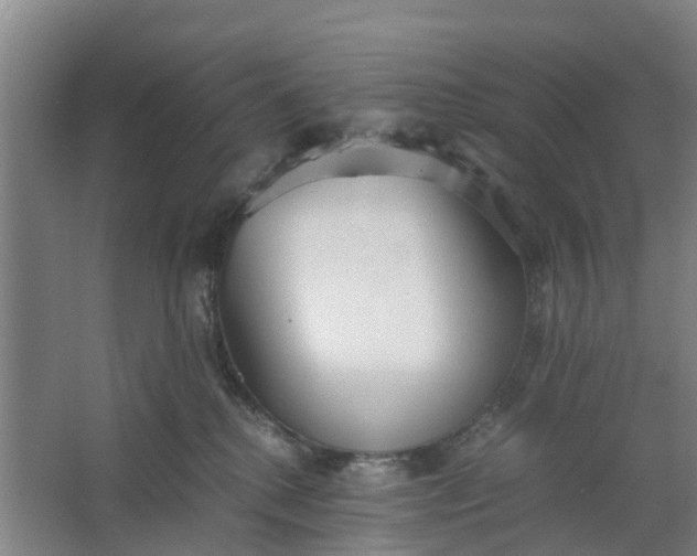 X0000062880280200601271629