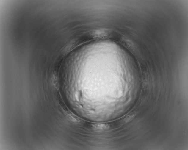 X0000062880281200601271630