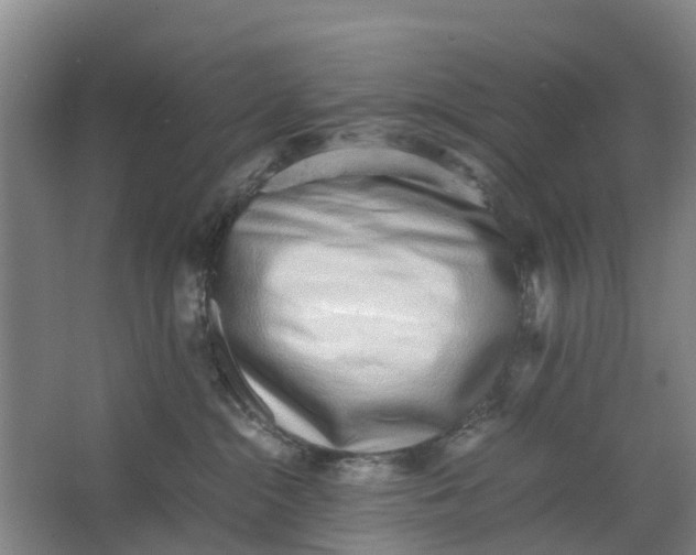 X0000062880284200601271630