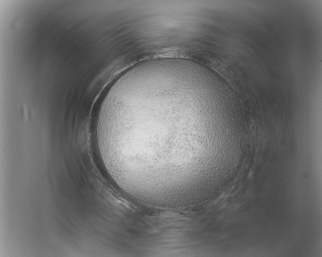 X0000062880290200601271629