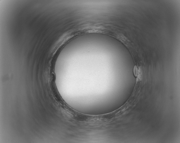 X0000062880291200601271629