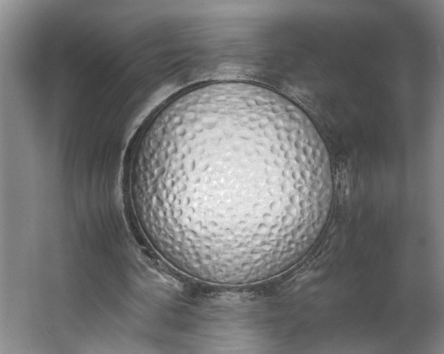 X0000062880292200601271629