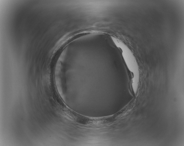 X0000062880295200601271629