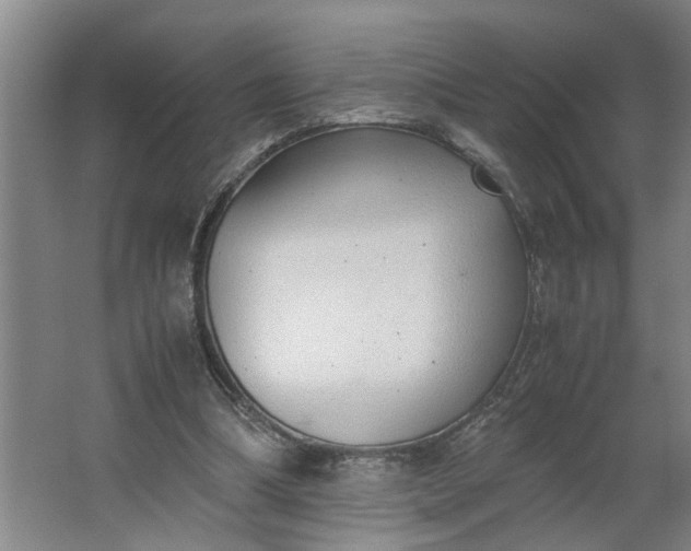 X0000062880298200601271629