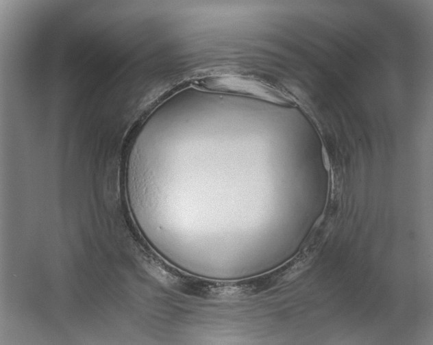 X0000062880301200601271629