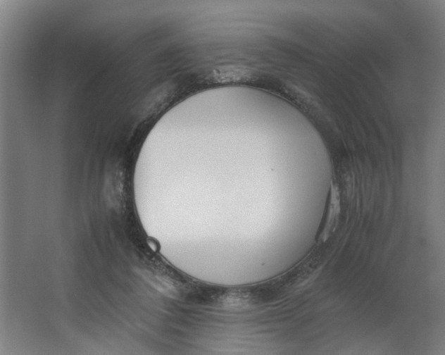 X0000062880308200601271628