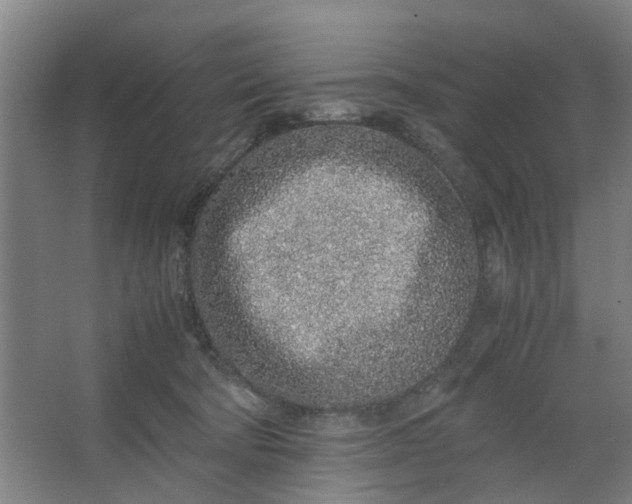 X0000062880322200601271628