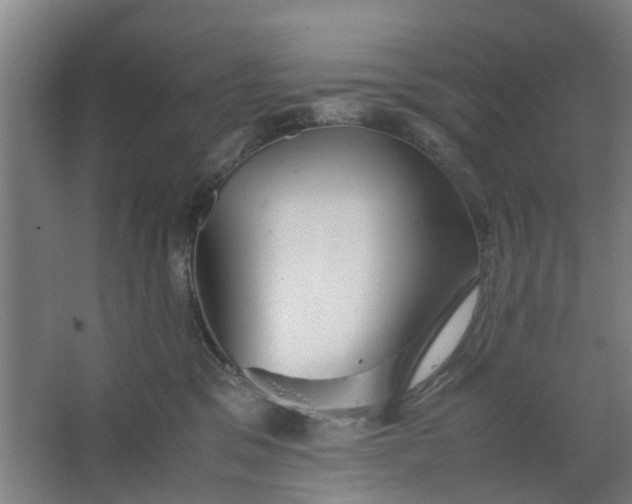 X0000062880329200601271628
