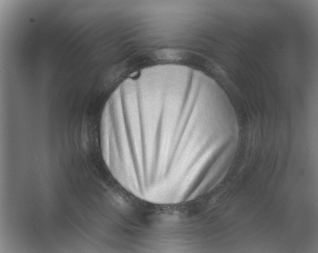 X0000062880330200601271628
