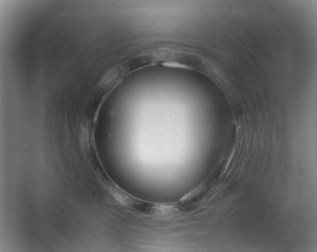 X0000062880333200601271628