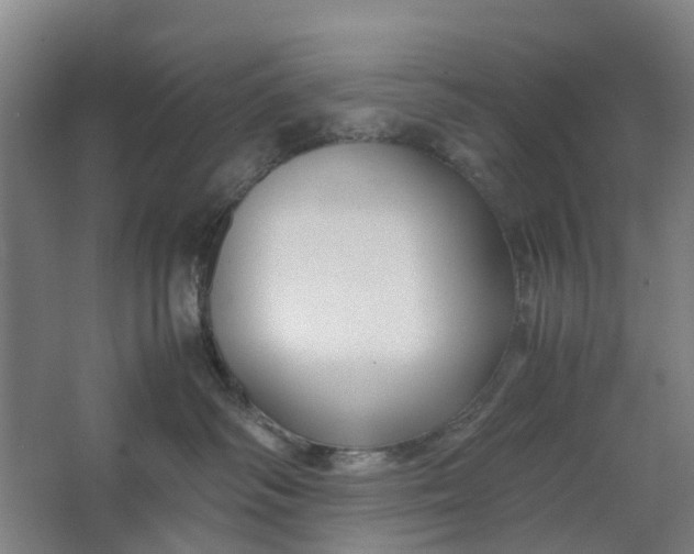 X0000062880334200601271628