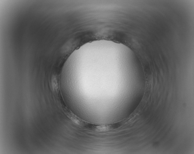 X0000062880335200601271628