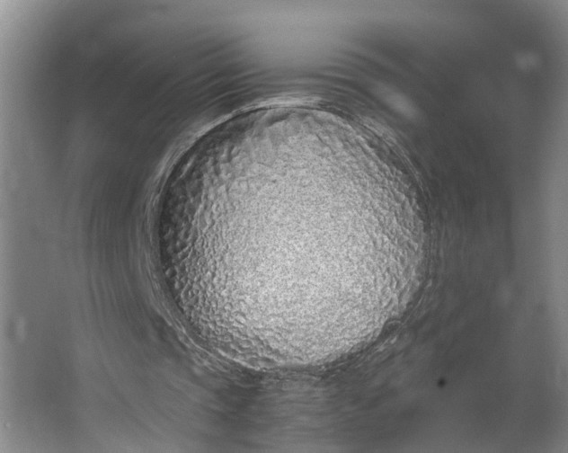 X0000062880337200601271627