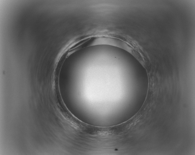 X0000062880344200601271627