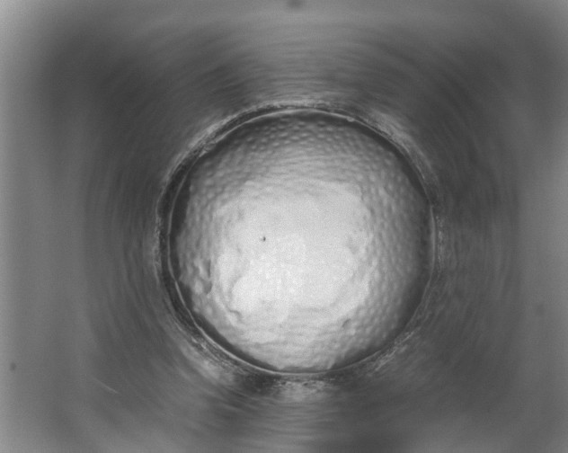 X0000062880346200601271627