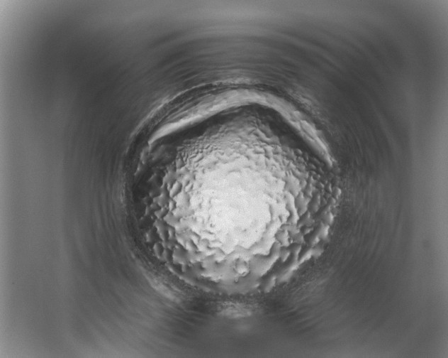 X0000062880347200601271627