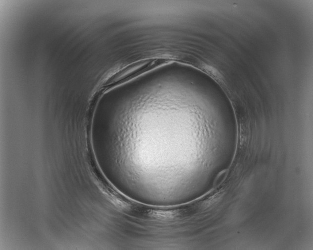 X0000062880349200601271627