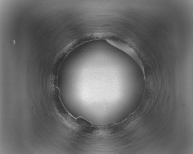 X0000062880356200601271628