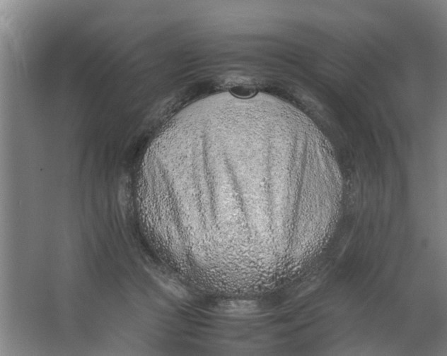 X0000062880361200601271628