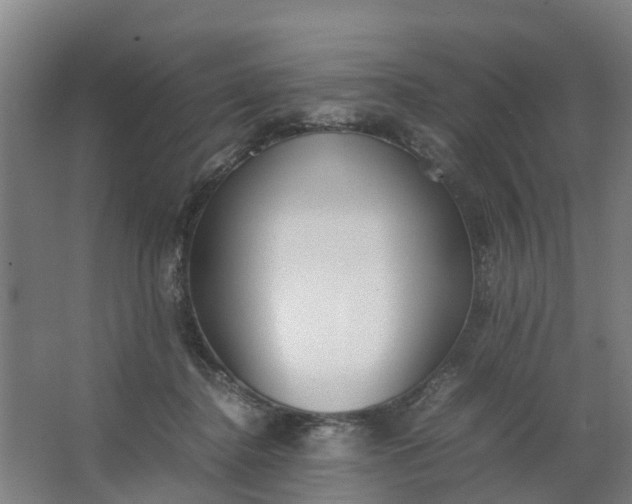 X0000062880364200601271628