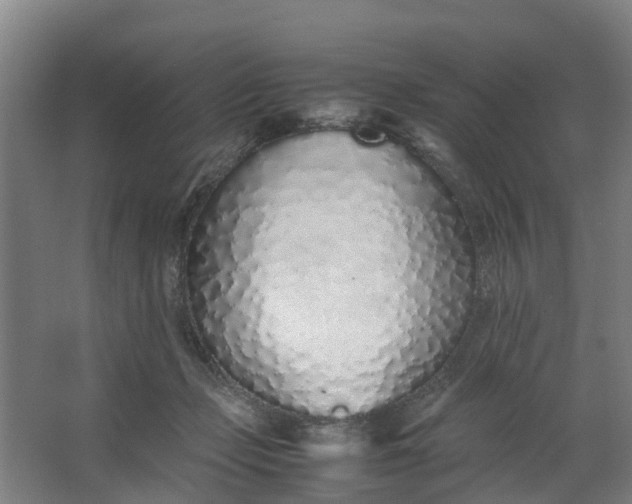 X0000062880365200601271628