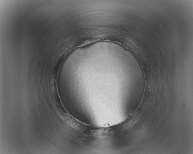 X0000062880366200601271628
