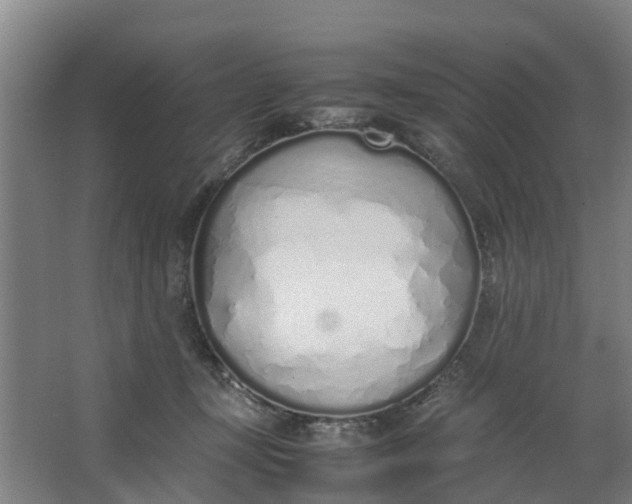 X0000062880367200601271628