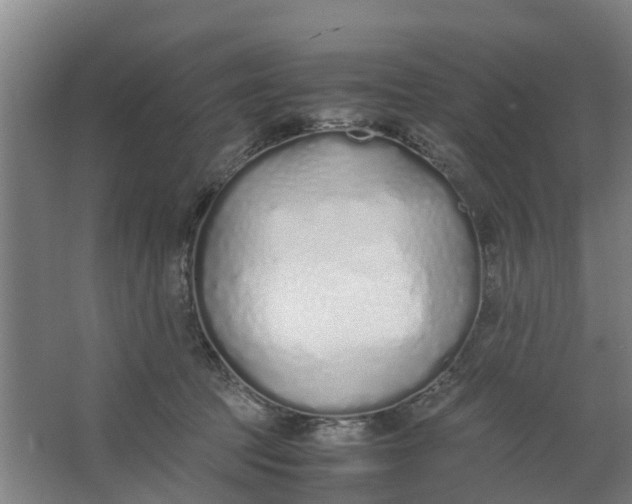 X0000062880369200601271628