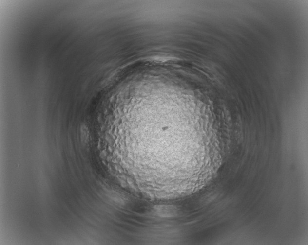 X0000062880371200601271628