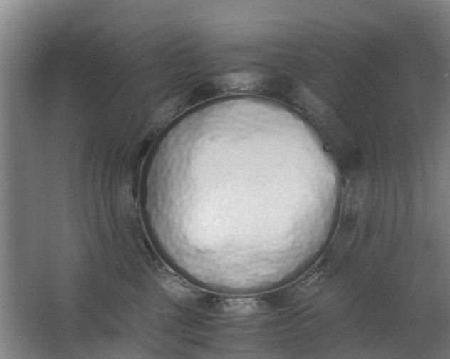 X0000062880377200601271628