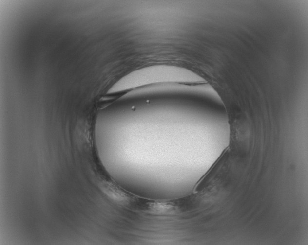 X0000062880380200601271628