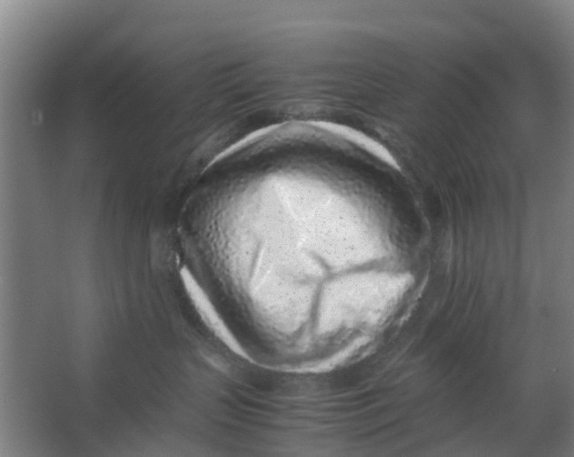 X0000062880383200601271628